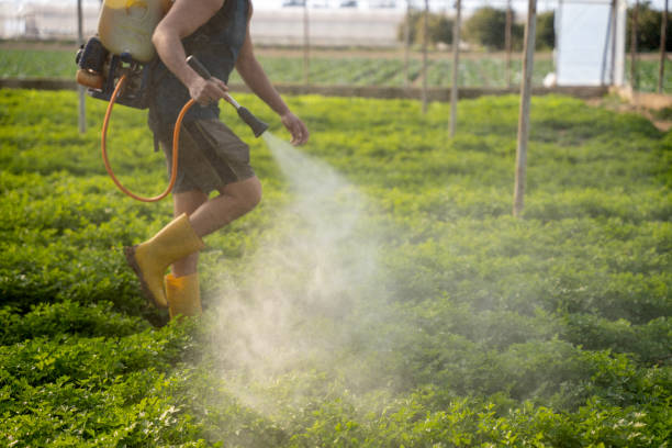 Best Mosquito Control Services  in Woodville, CA
