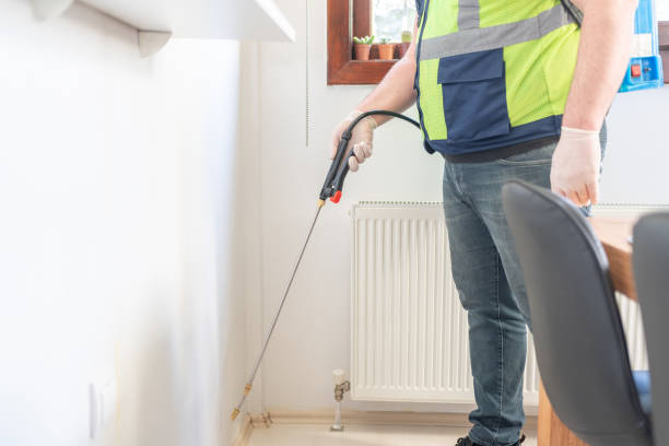 Best Wasp Removal Services  in Woodville, CA