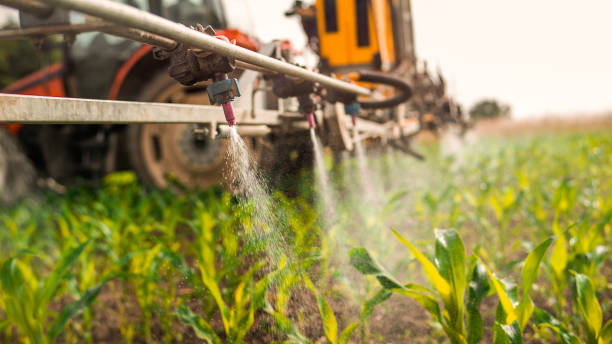 Professional Pest Control in Woodville, CA